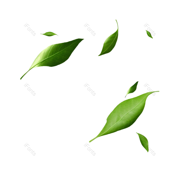 装饰图片,动感元素,装饰树叶PNG,绿叶免抠素材